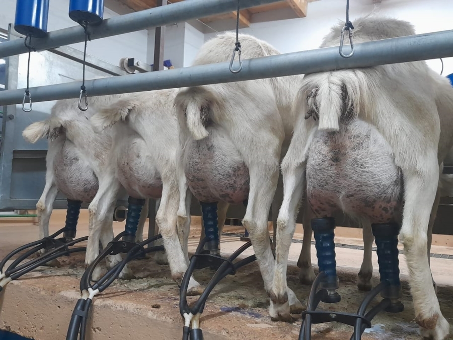 3 Bedroom Property for Sale in Heidelberg Rural Gauteng