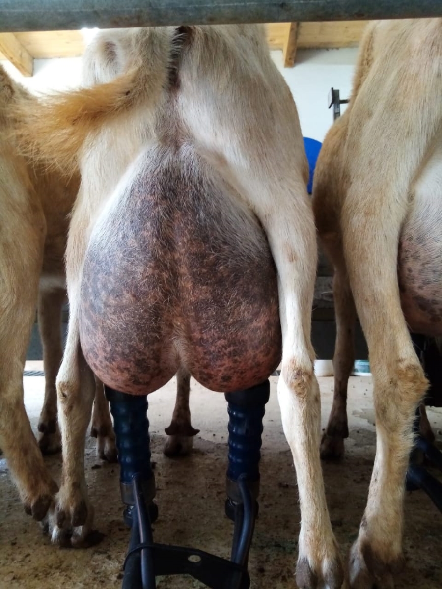 3 Bedroom Property for Sale in Heidelberg Rural Gauteng