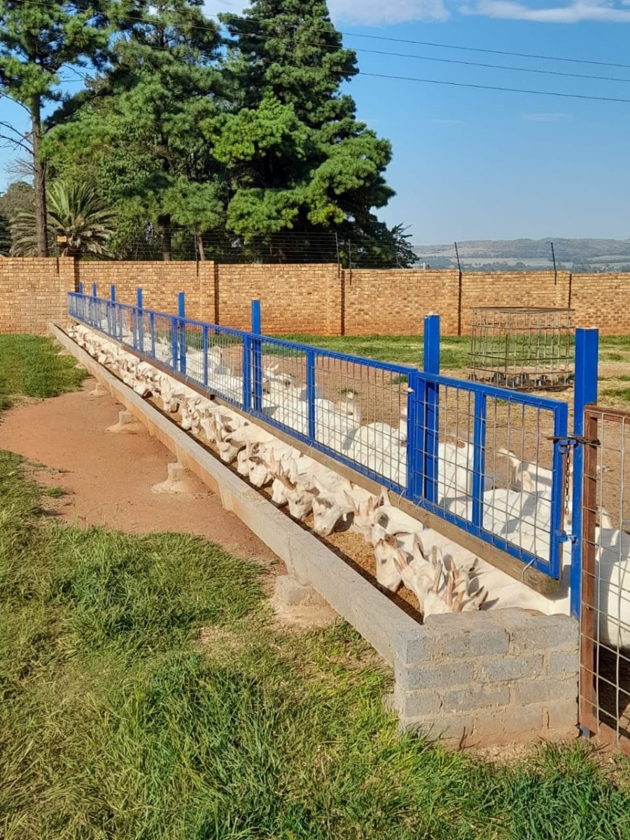 3 Bedroom Property for Sale in Heidelberg Rural Gauteng