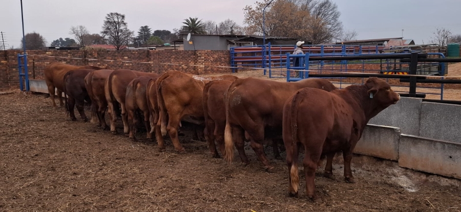 3 Bedroom Property for Sale in Heidelberg Rural Gauteng