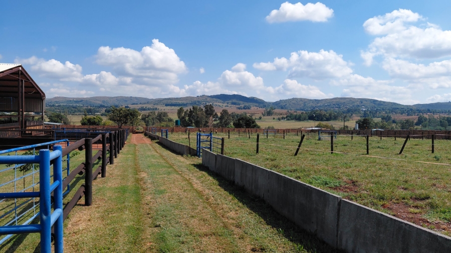 3 Bedroom Property for Sale in Heidelberg Rural Gauteng