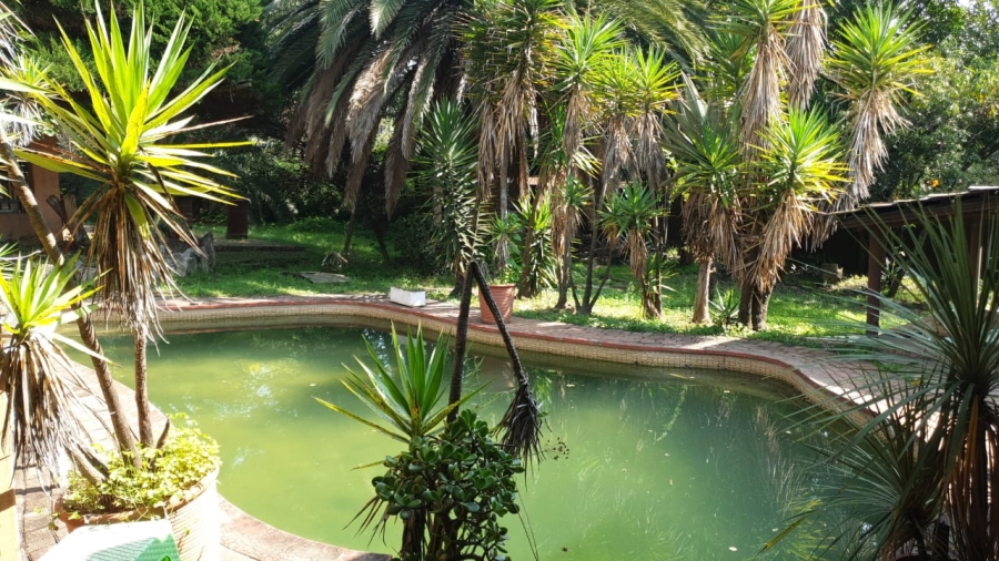 5 Bedroom Property for Sale in Buccleuch Gauteng