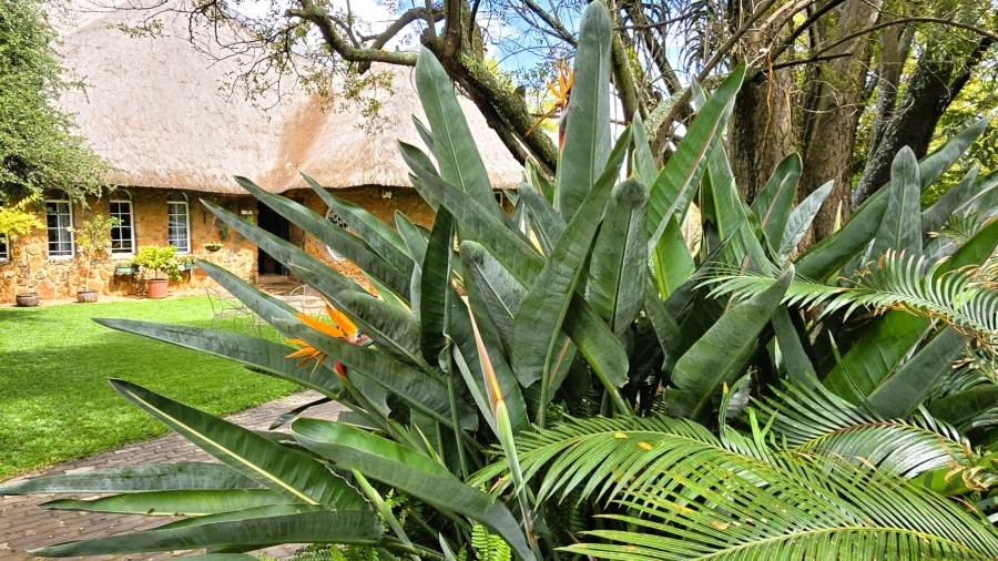 Commercial Property for Sale in Mooiplaats Gauteng