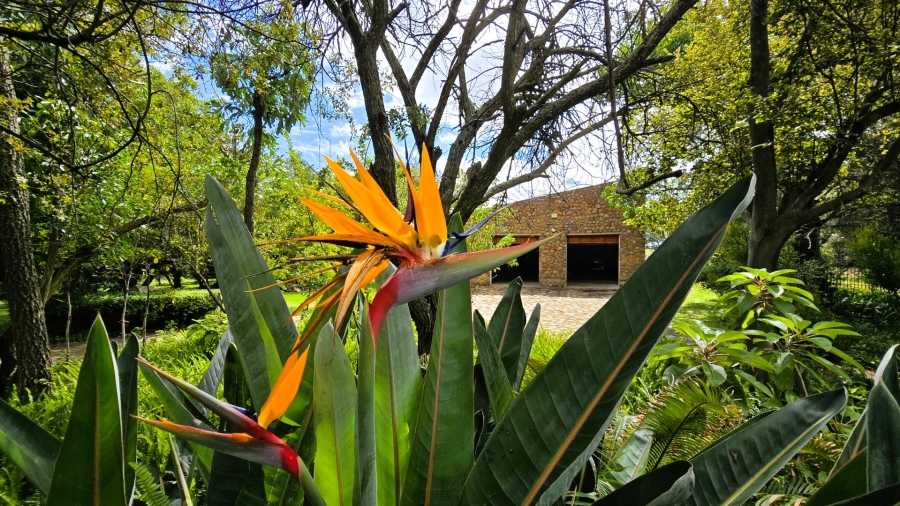 Commercial Property for Sale in Mooiplaats Gauteng