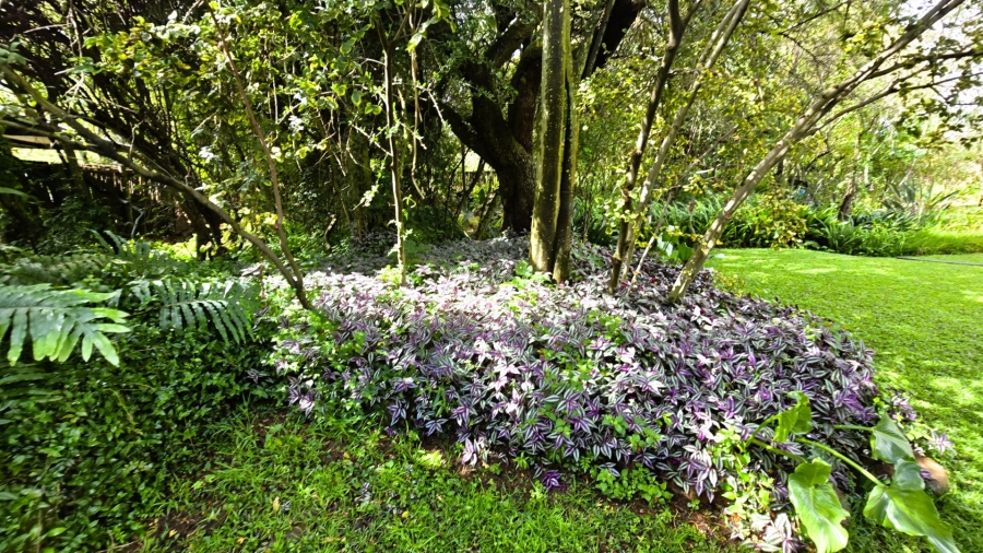 Commercial Property for Sale in Mooiplaats Gauteng