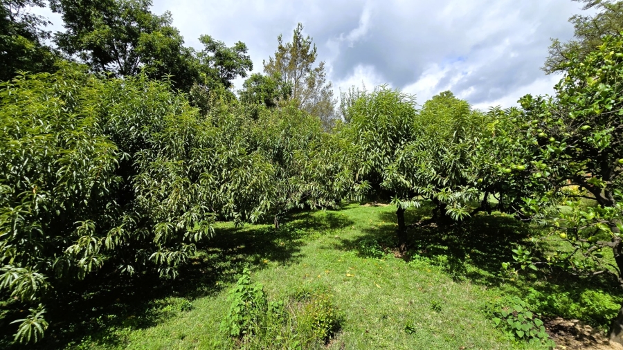 Commercial Property for Sale in Mooiplaats Gauteng