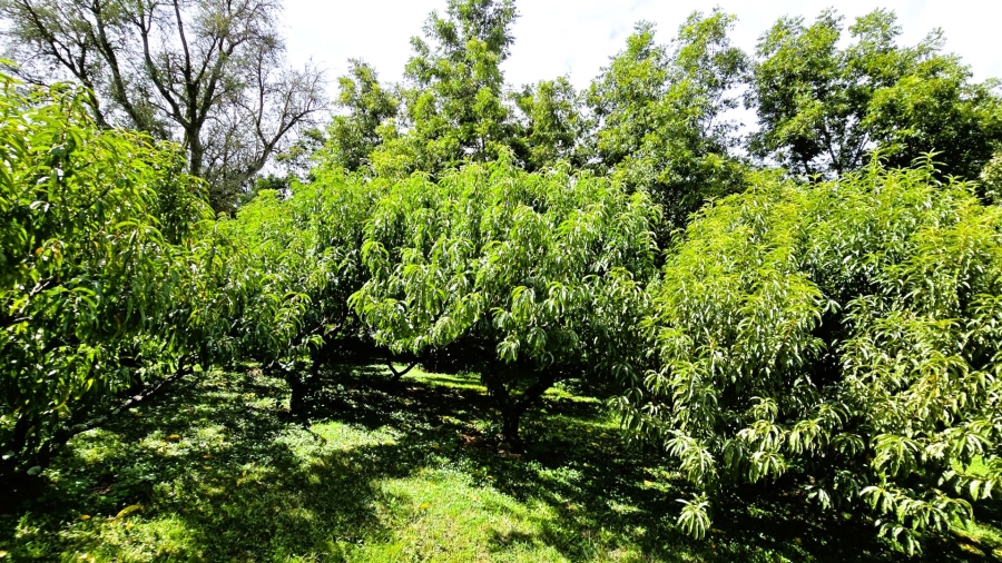 Commercial Property for Sale in Mooiplaats Gauteng