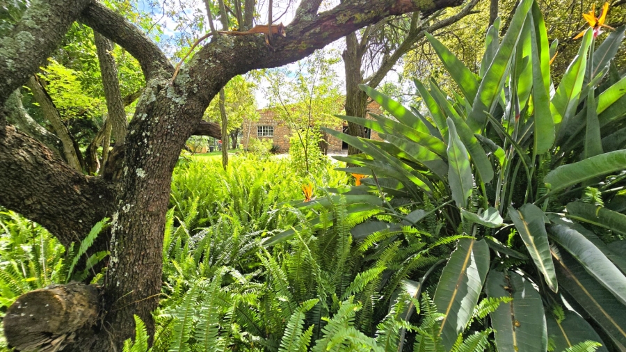 Commercial Property for Sale in Mooiplaats Gauteng