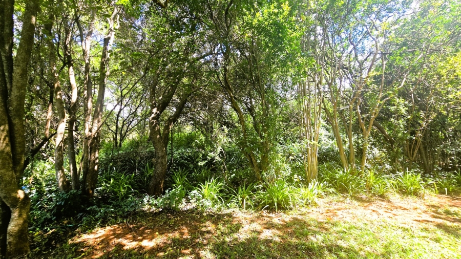 12 Bedroom Property for Sale in Mooiplaats Gauteng