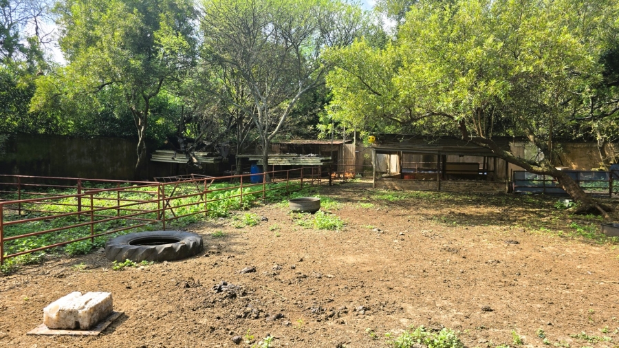 12 Bedroom Property for Sale in Mooiplaats Gauteng