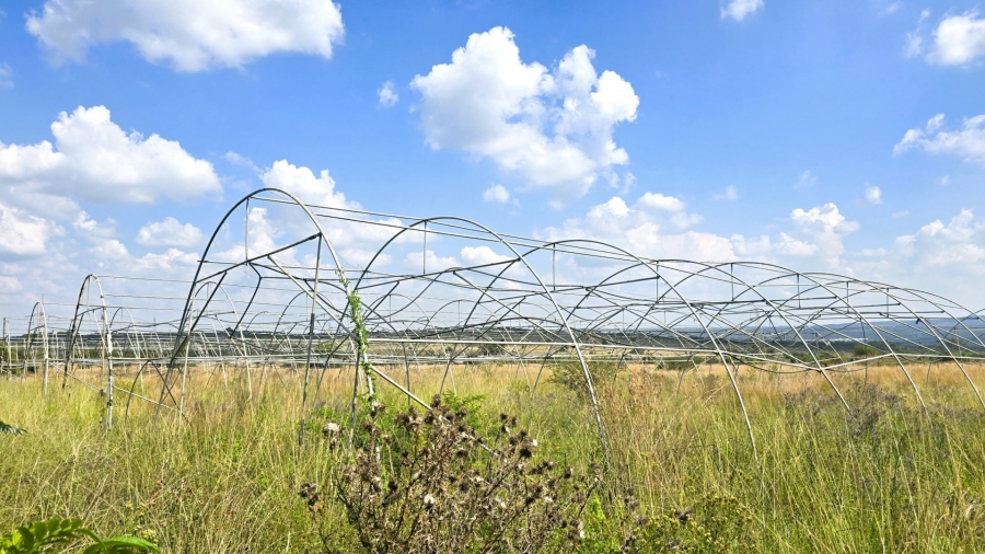 12 Bedroom Property for Sale in Mooiplaats Gauteng