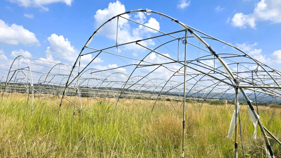12 Bedroom Property for Sale in Mooiplaats Gauteng