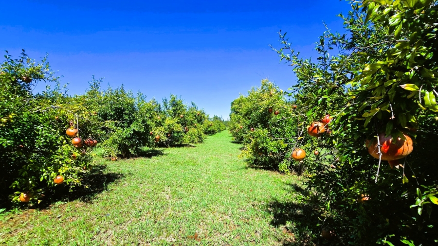 12 Bedroom Property for Sale in Mooiplaats Gauteng