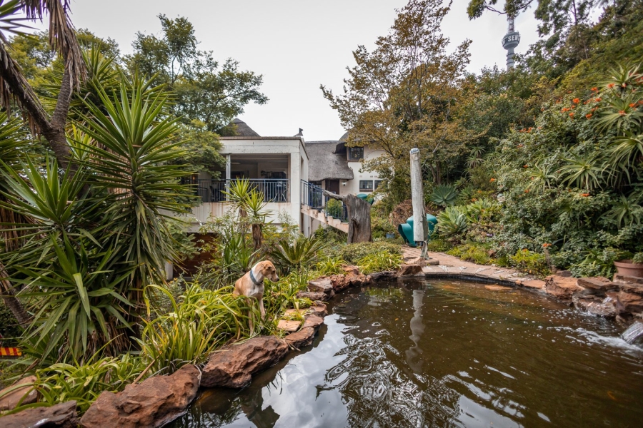 5 Bedroom Property for Sale in Auckland Park Gauteng