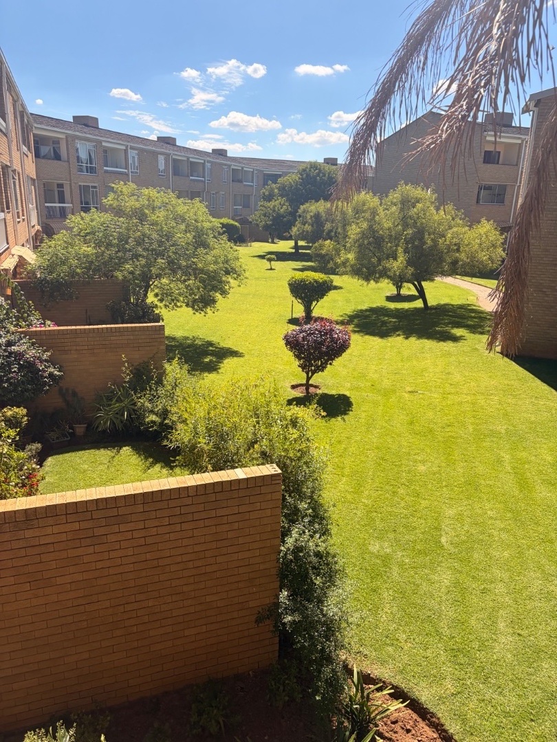 To Let 3 Bedroom Property for Rent in Morehill Gauteng