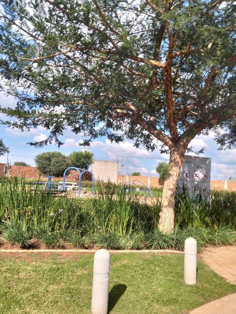 4 Bedroom Property for Sale in Danville Gauteng