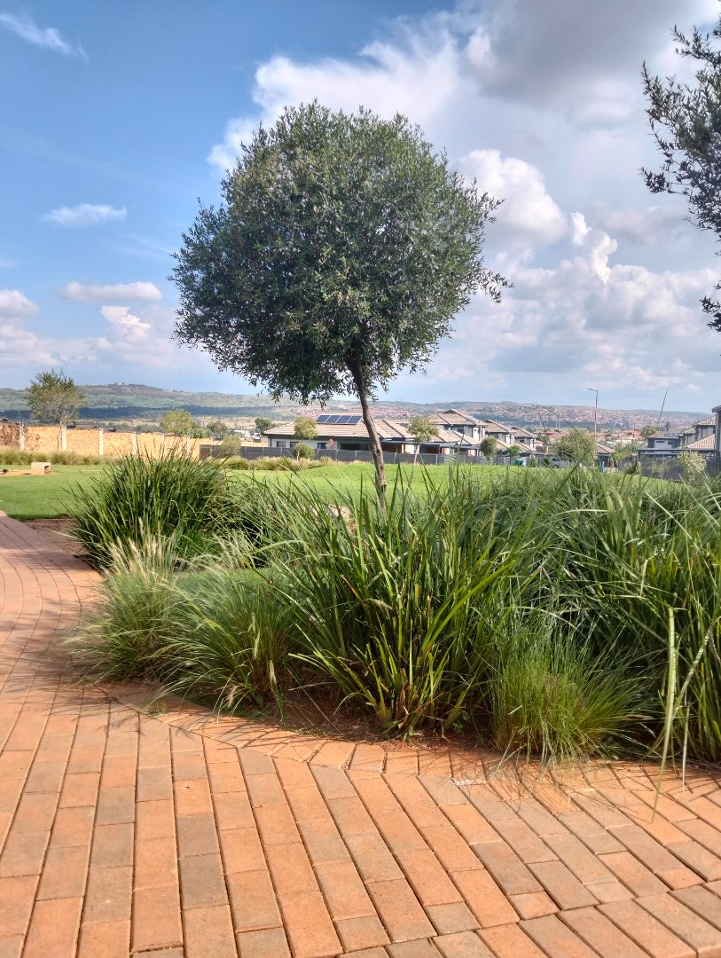 4 Bedroom Property for Sale in Danville Gauteng
