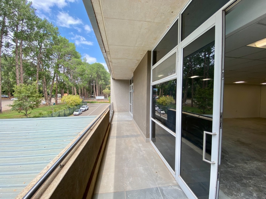 To Let commercial Property for Rent in Arcadia Gauteng