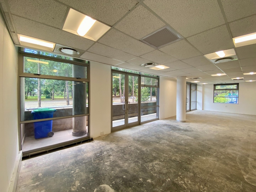 To Let commercial Property for Rent in Arcadia Gauteng