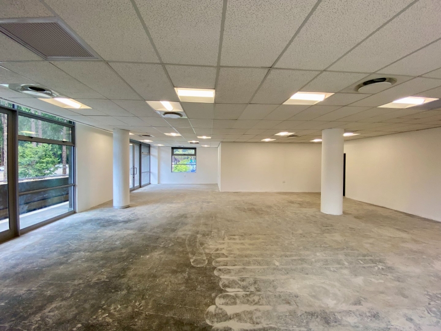 To Let commercial Property for Rent in Arcadia Gauteng