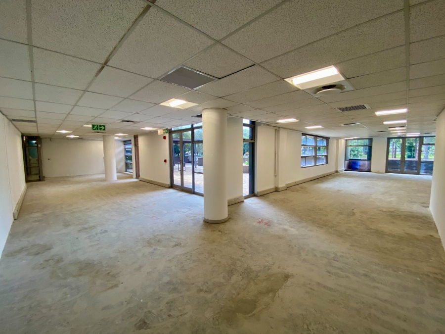 To Let commercial Property for Rent in Arcadia Gauteng