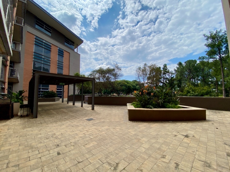 To Let commercial Property for Rent in Arcadia Gauteng