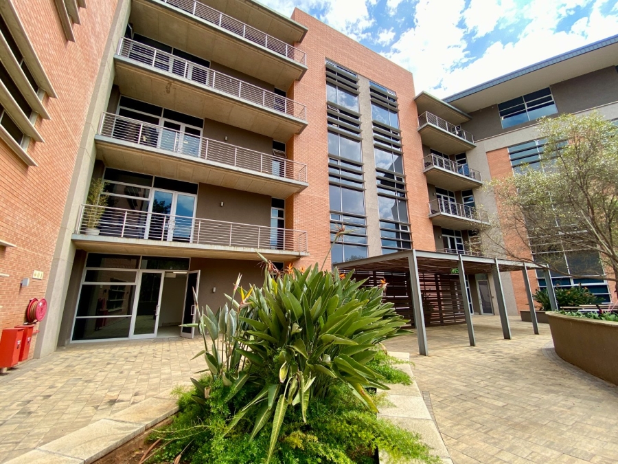 To Let commercial Property for Rent in Arcadia Gauteng