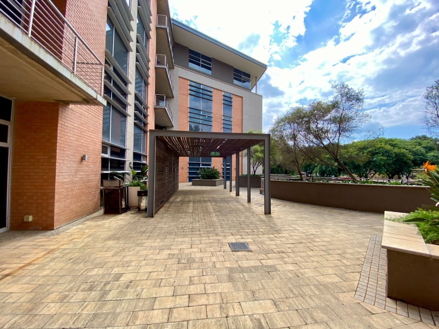 To Let commercial Property for Rent in Arcadia Gauteng
