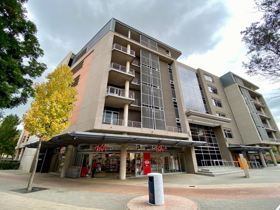 To Let Commercial Property for Rent in Arcadia Gauteng