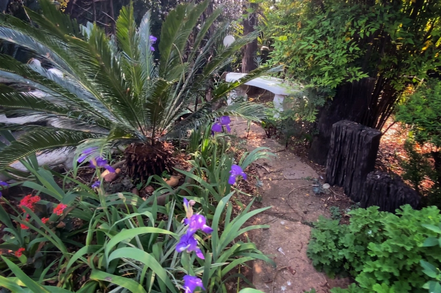 3 Bedroom Property for Sale in Dunnottar Gauteng