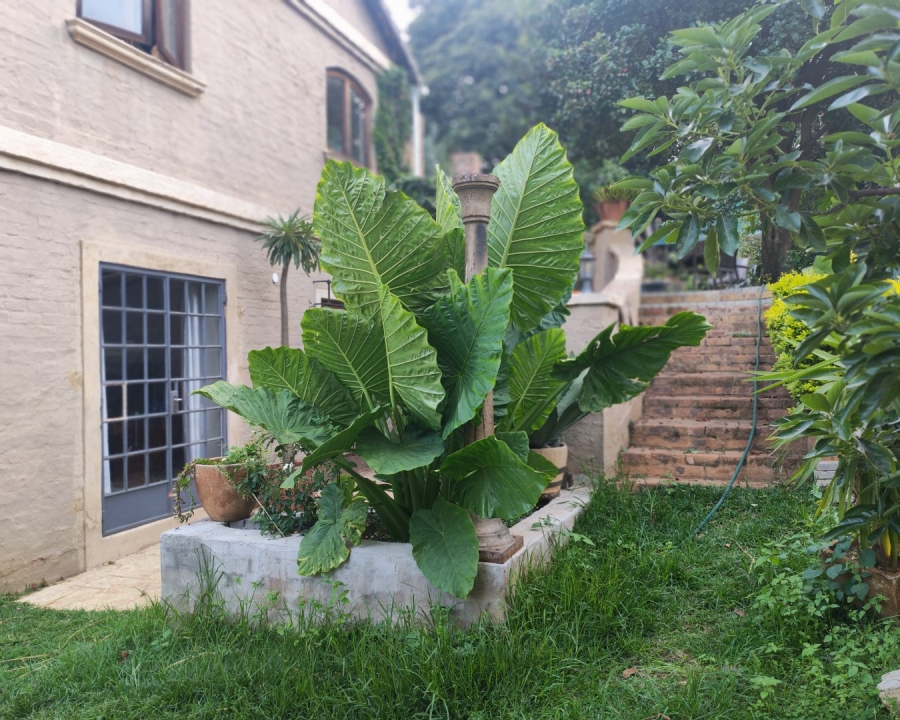 To Let 3 Bedroom Property for Rent in Constantia Park Gauteng