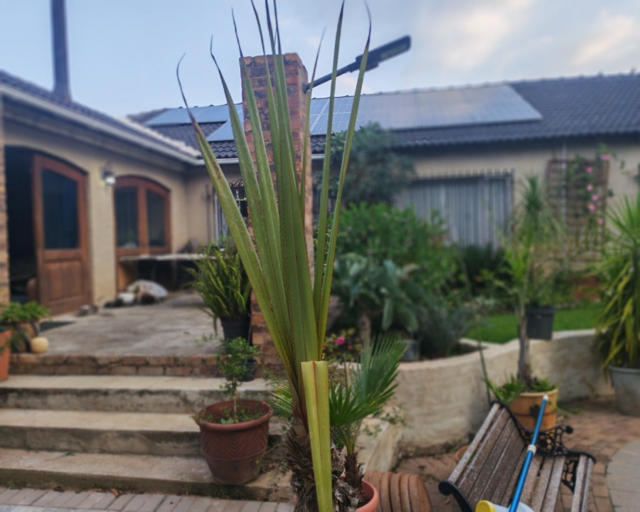 To Let 3 Bedroom Property for Rent in Constantia Park Gauteng