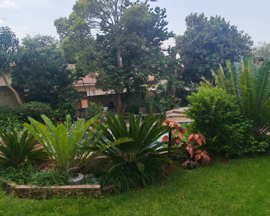To Let 3 Bedroom Property for Rent in Constantia Park Gauteng