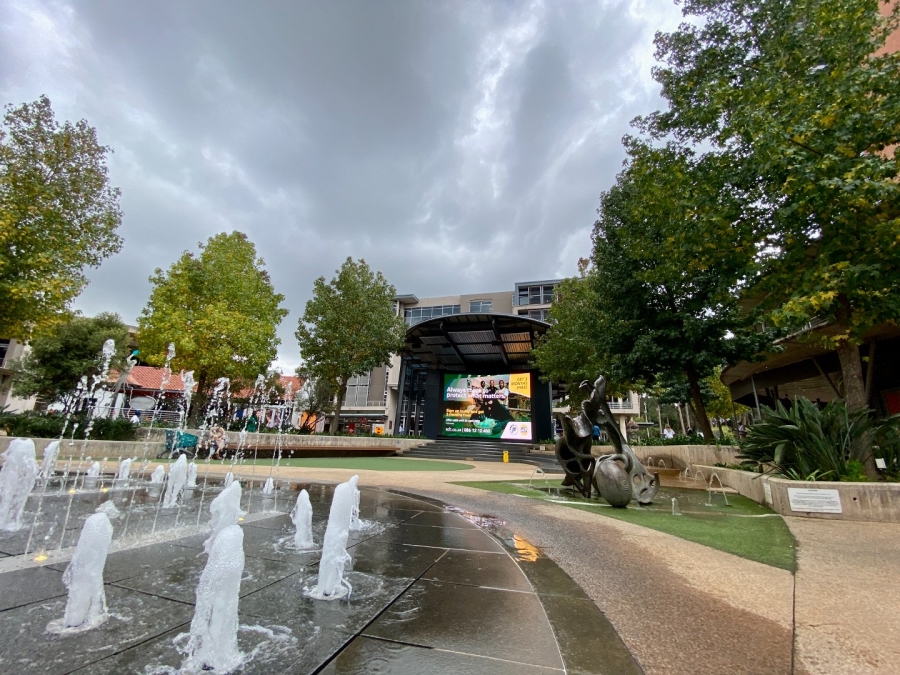 To Let Commercial Property for Rent in Arcadia Gauteng