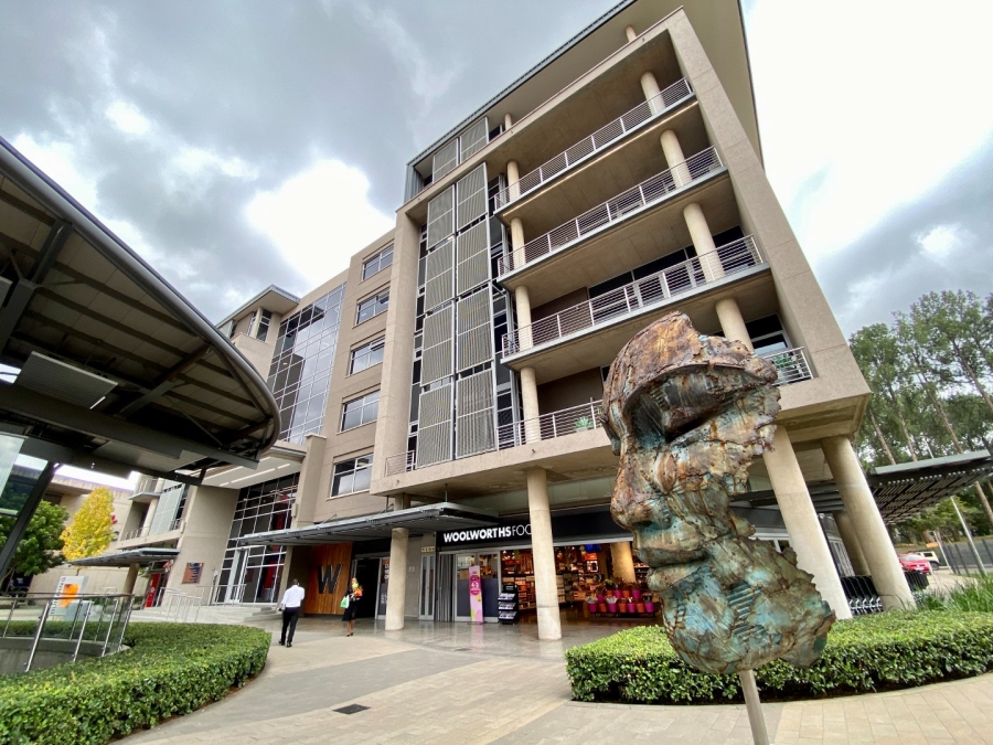 To Let Commercial Property for Rent in Arcadia Gauteng