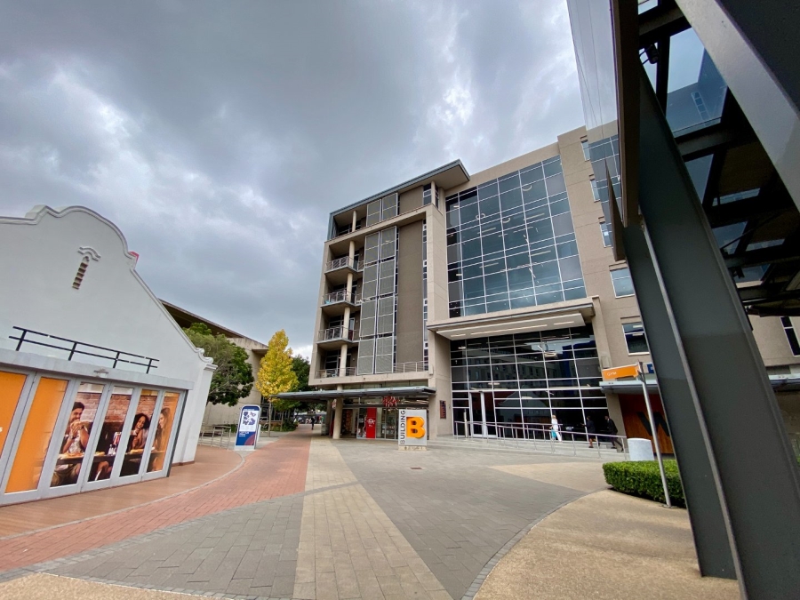 To Let Commercial Property for Rent in Arcadia Gauteng