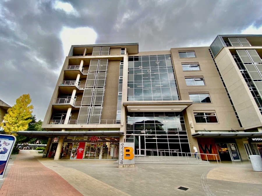 To Let Commercial Property for Rent in Arcadia Gauteng