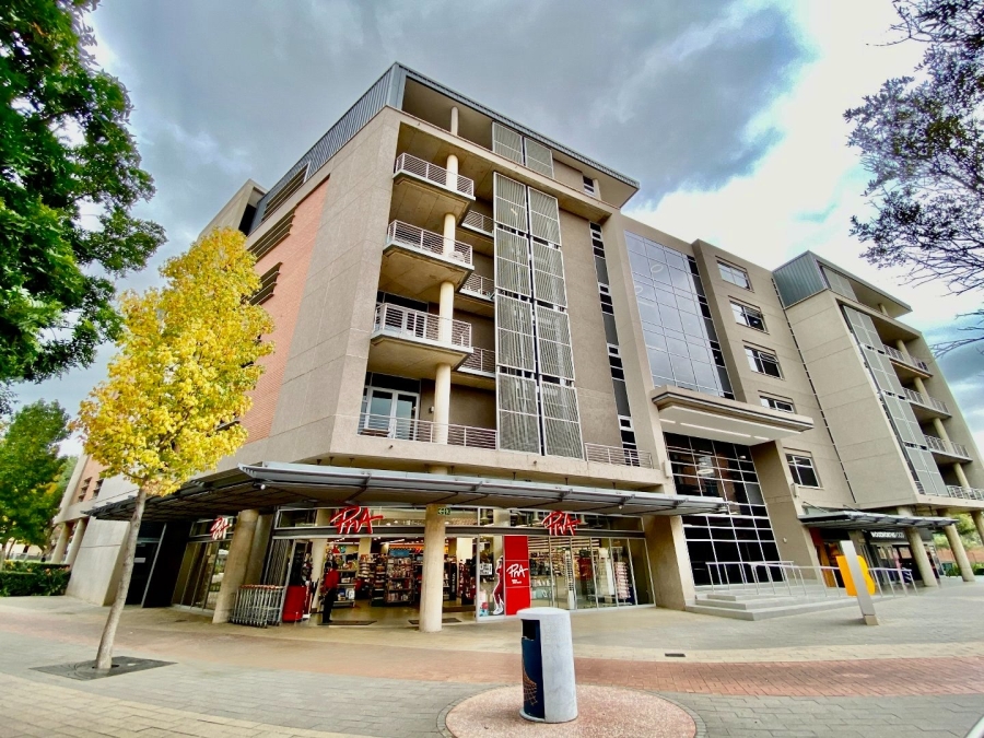 To Let Commercial Property for Rent in Arcadia Gauteng