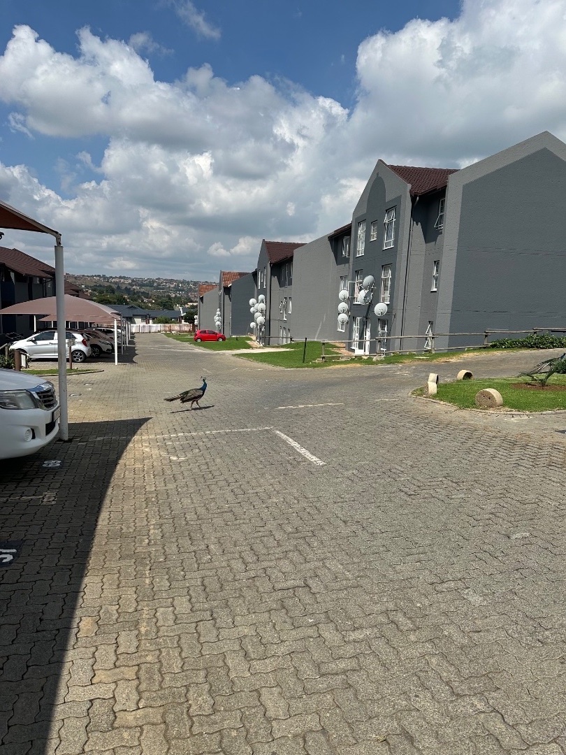 2 Bedroom Property for Sale in Mondeor Gauteng