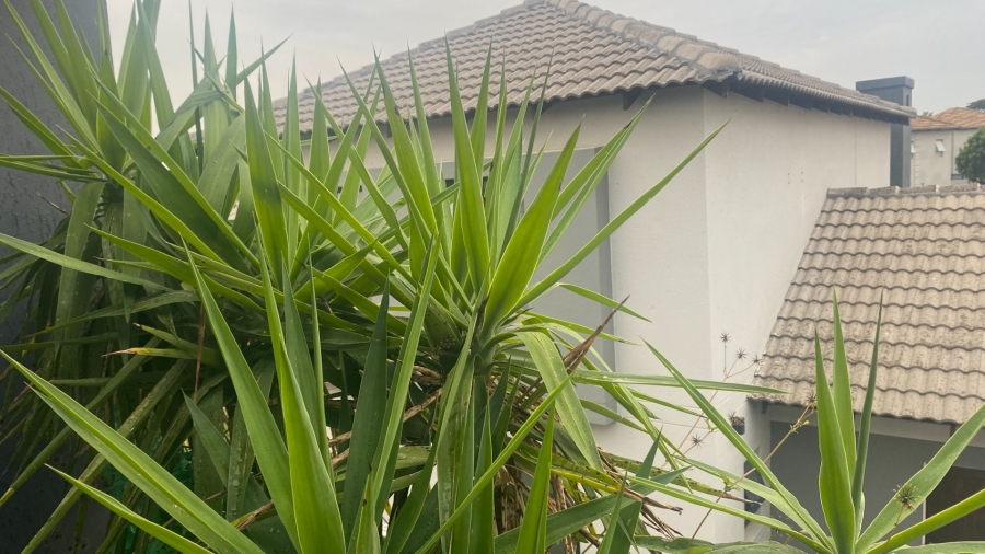 3 Bedroom Property for Sale in Equestria Gauteng