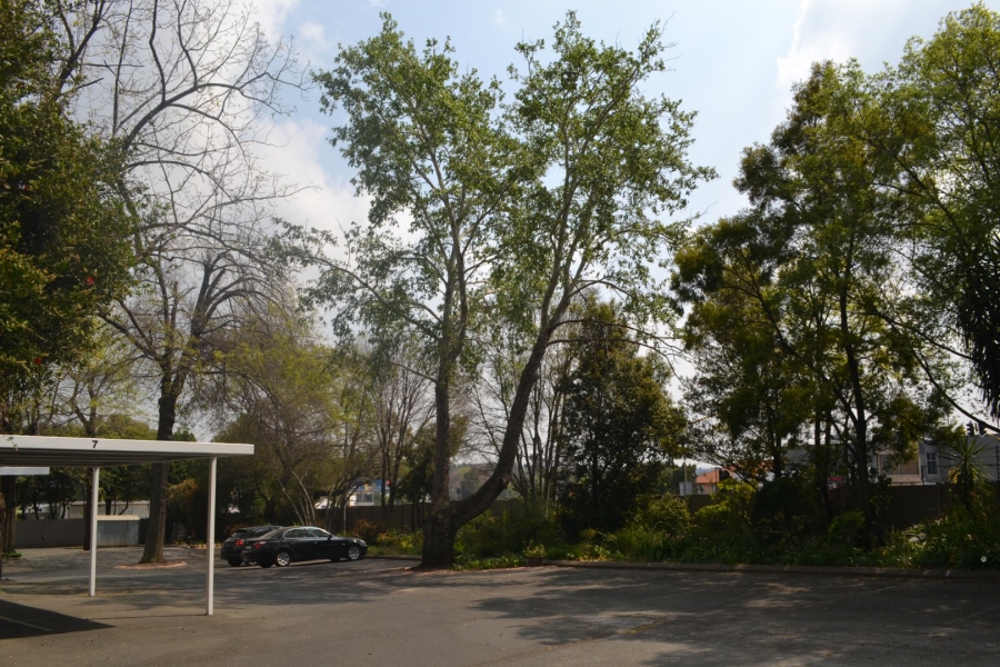 2 Bedroom Property for Sale in Craighall Park Gauteng