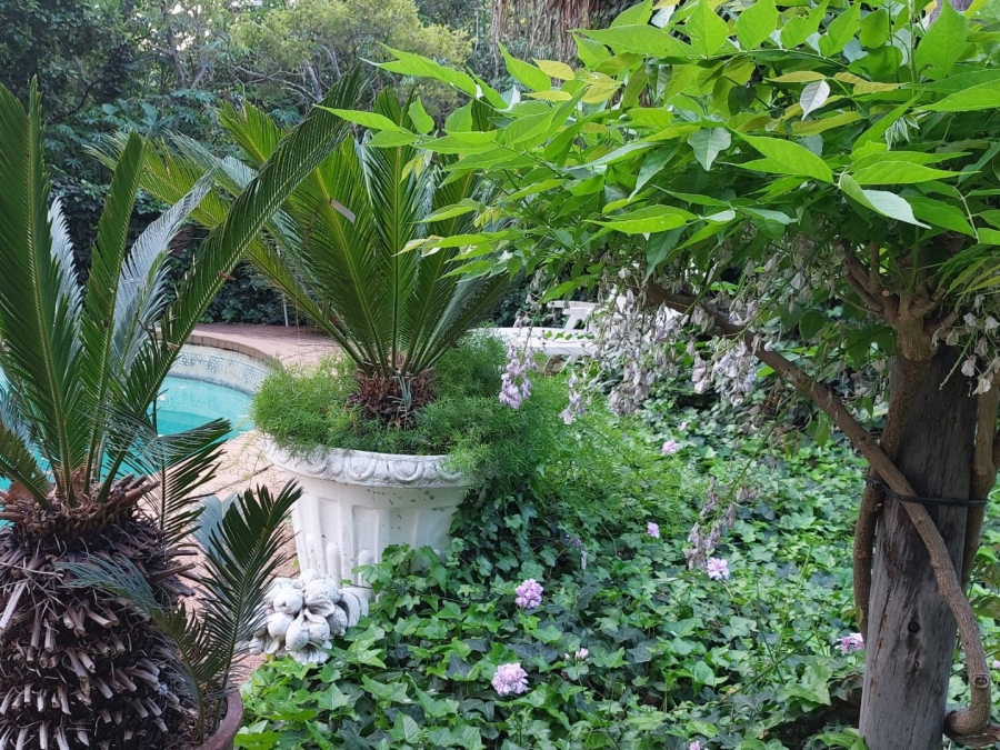 4 Bedroom Property for Sale in Pretoria North Gauteng