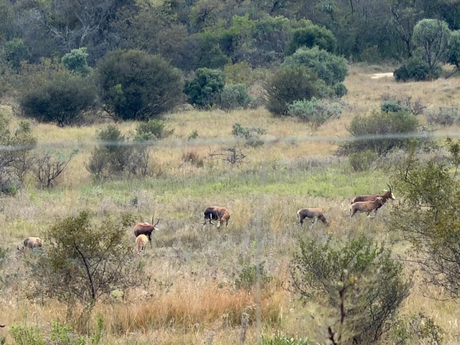 4 Bedroom Property for Sale in The Hills Game Reserve Estate Gauteng
