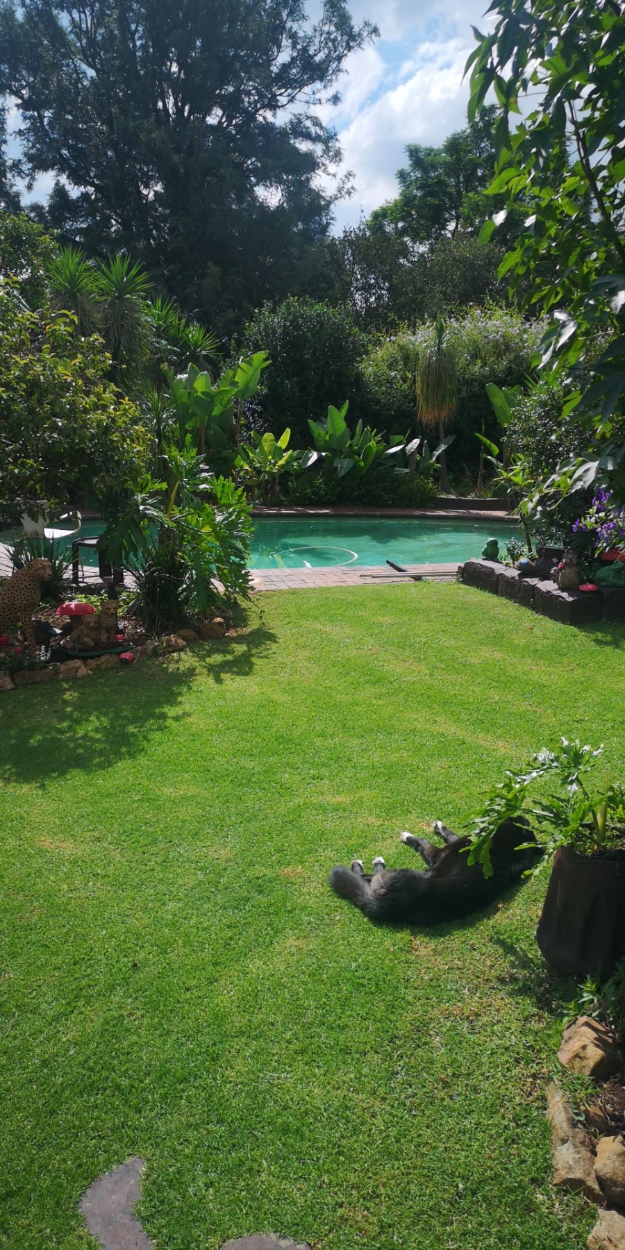 3 Bedroom Property for Sale in Illiondale Gauteng