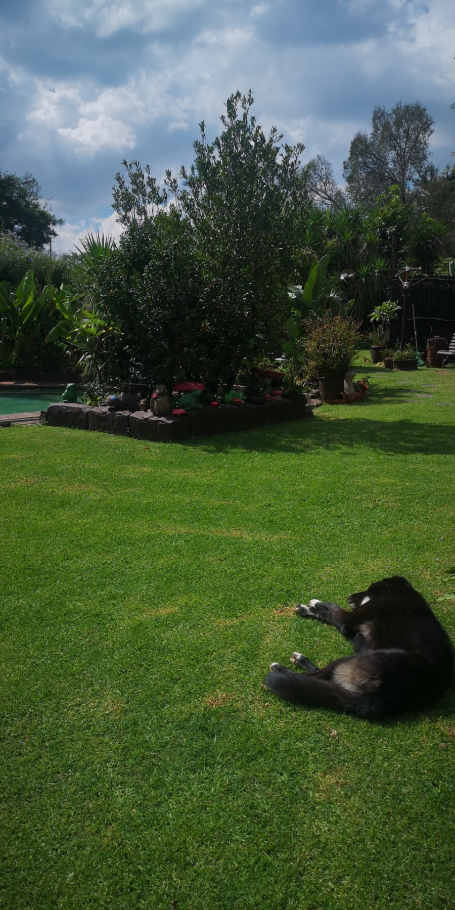 3 Bedroom Property for Sale in Illiondale Gauteng