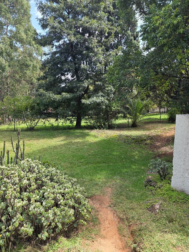 To Let Commercial Property for Rent in Ferndale Gauteng