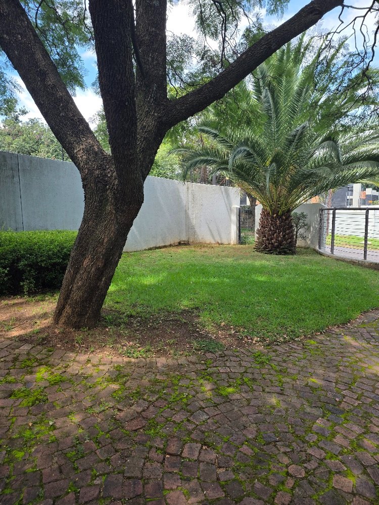 To Let Commercial Property for Rent in Ferndale Gauteng
