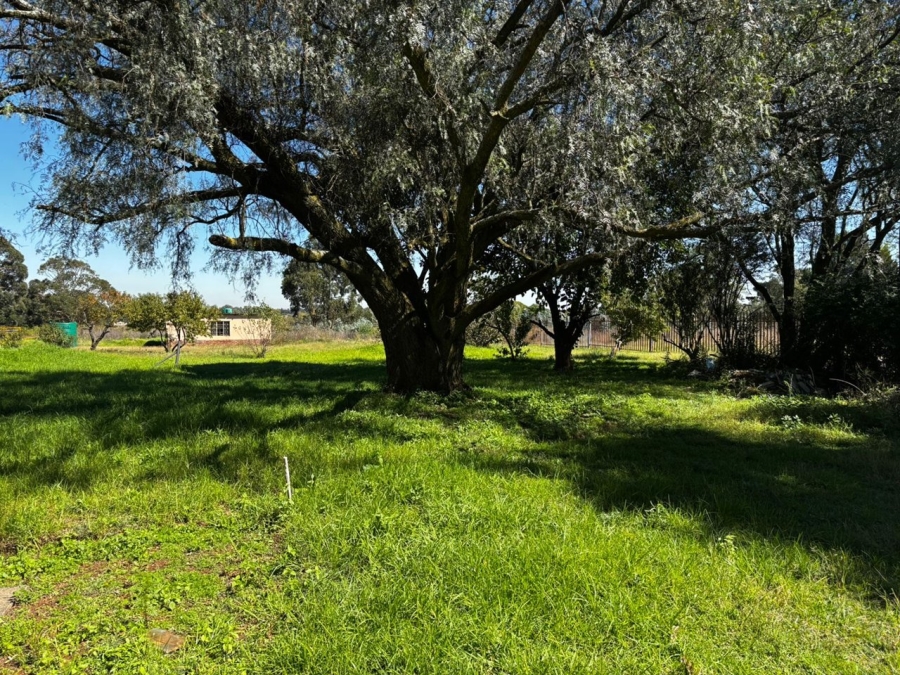 4 Bedroom Property for Sale in Benoni AH Gauteng