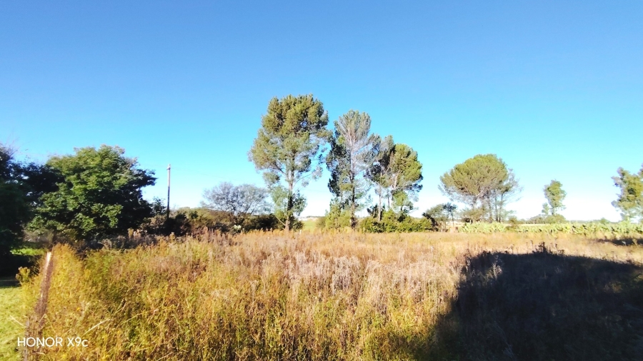 Commercial Property for Sale in Sherman Park Gauteng