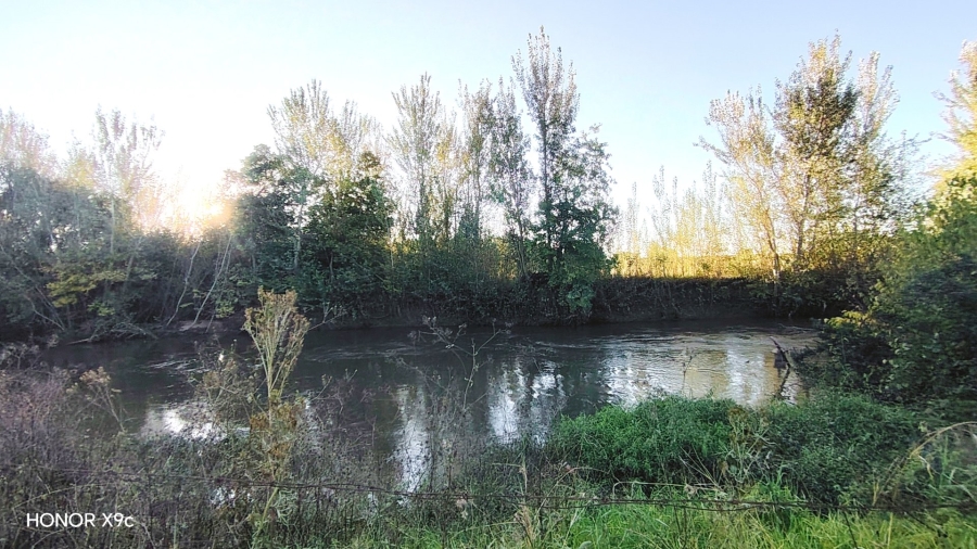 Commercial Property for Sale in Sherman Park Gauteng